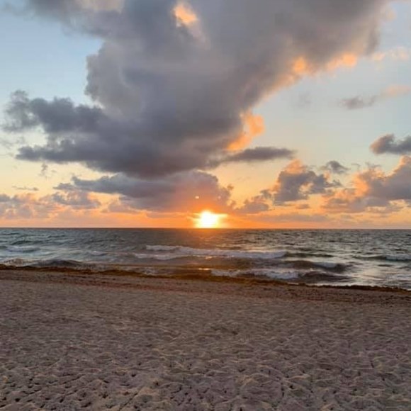 Meet your Posher, Loretta - Picture 1 of 1